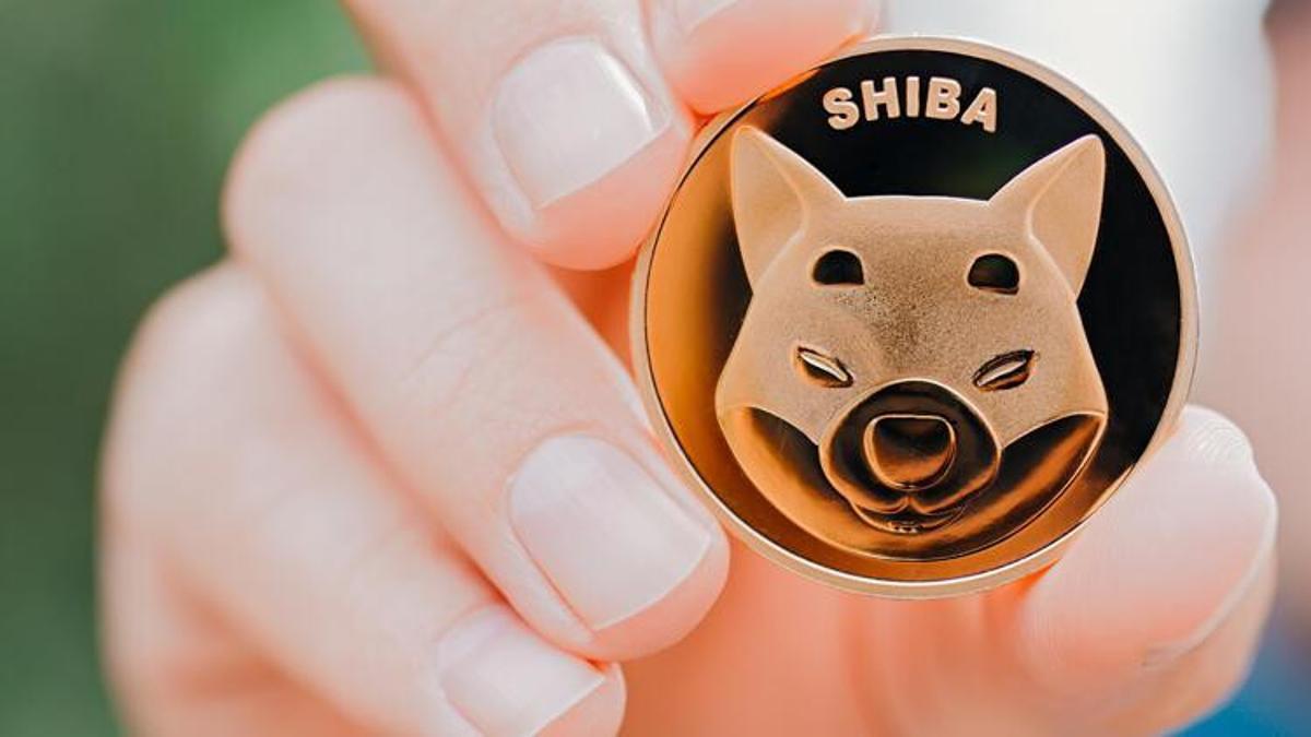 Shiba coin nedir, ne zaman çıktı? Shiba inu coin tarihçesi - Teknoloji