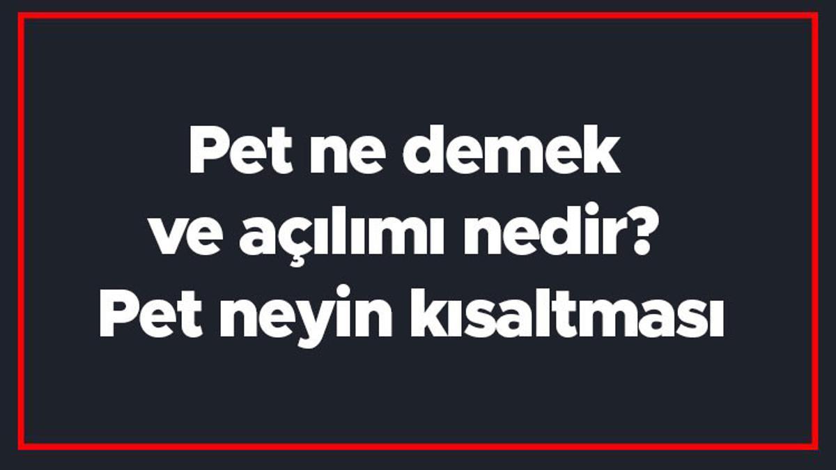 Pet ne demek ve açılımı nedir? Pet neyin kısaltması