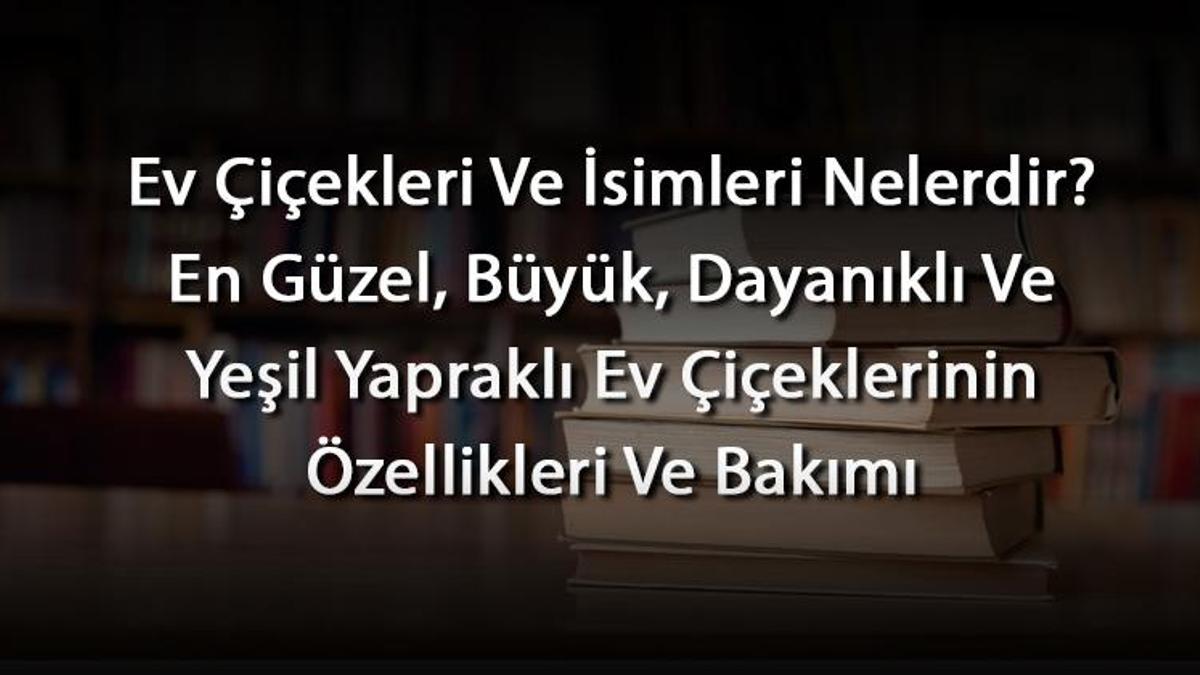 Ev Çiçekleri Ve İsimleri Nelerdir? En Güzel, Büyük, Dayanıklı Ve Yeşil