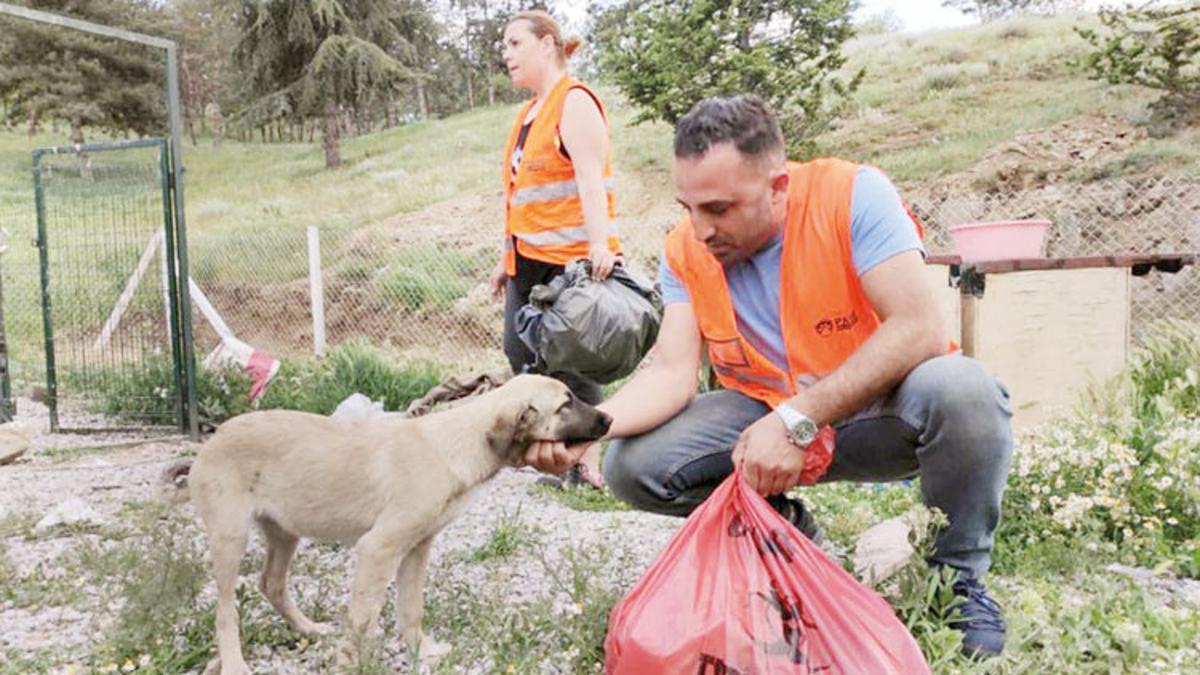 9 yavru köpeği köpek etiyle zehirlemişler Son Dakika Haberleri