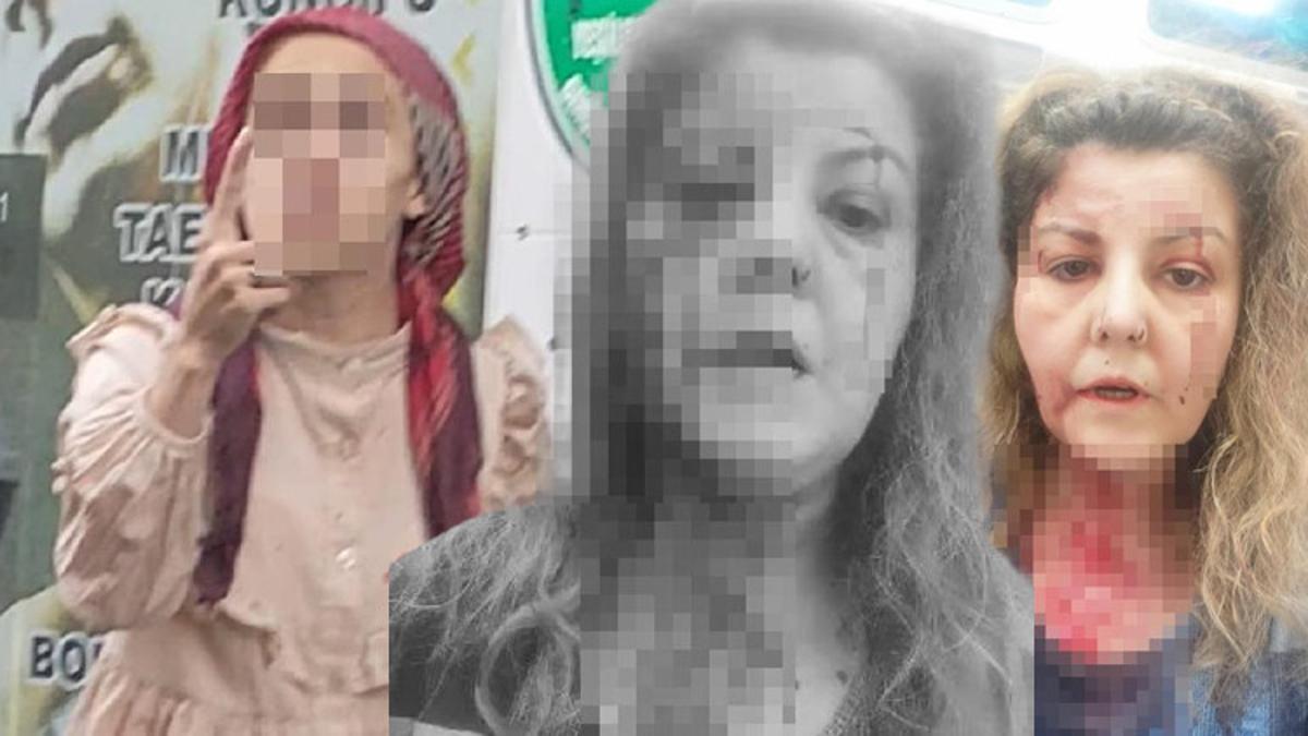 ‘Kediye tekme’ iddiası ortalığı karıştırdı! Birbirlerine girdiler