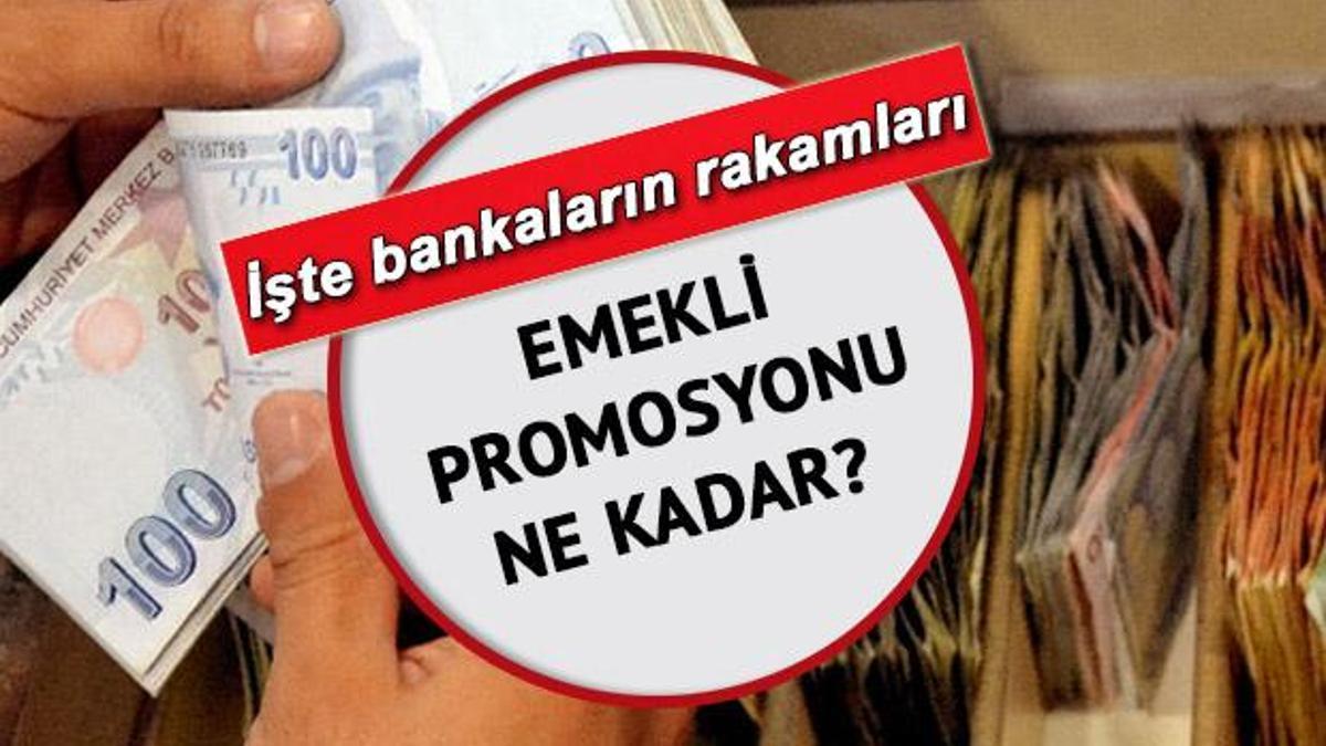 EMEKLİ PROMOSYONU 2022 Veren Bankalar: Hangi Banka Ne Kadar Promosyon ...