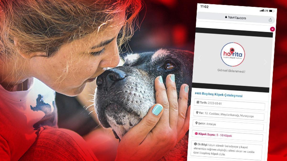 Uygulama büyük tepki çekmişti! ‘Havrita’ için bir karar daha