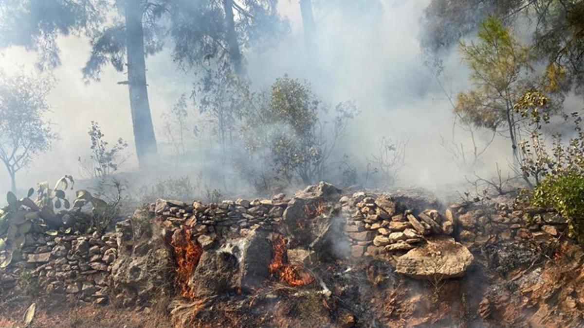 Antalya’nın Alanya ilçesinde orman yangını