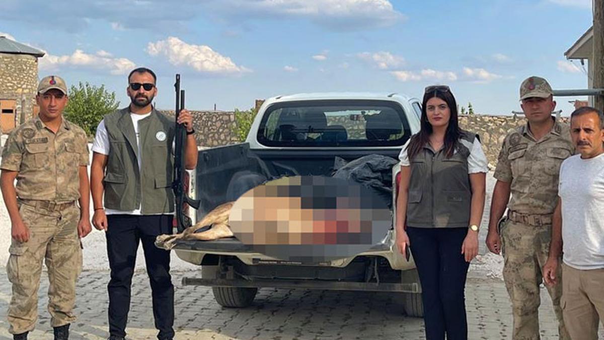 Tunceli’de yaban keçisi avlayan kişiye 254 bin TL ceza kesildi