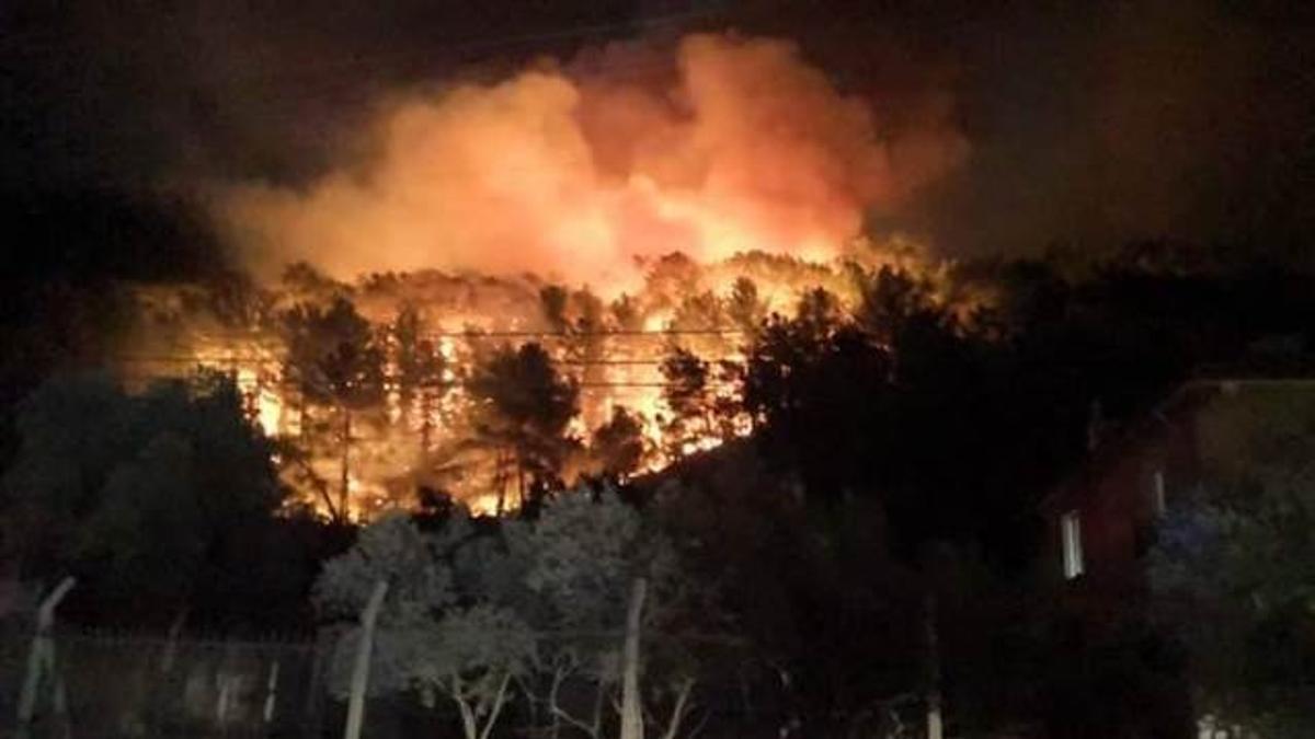 Muğla’da orman yangını! – Son Dakika Flaş Haberler