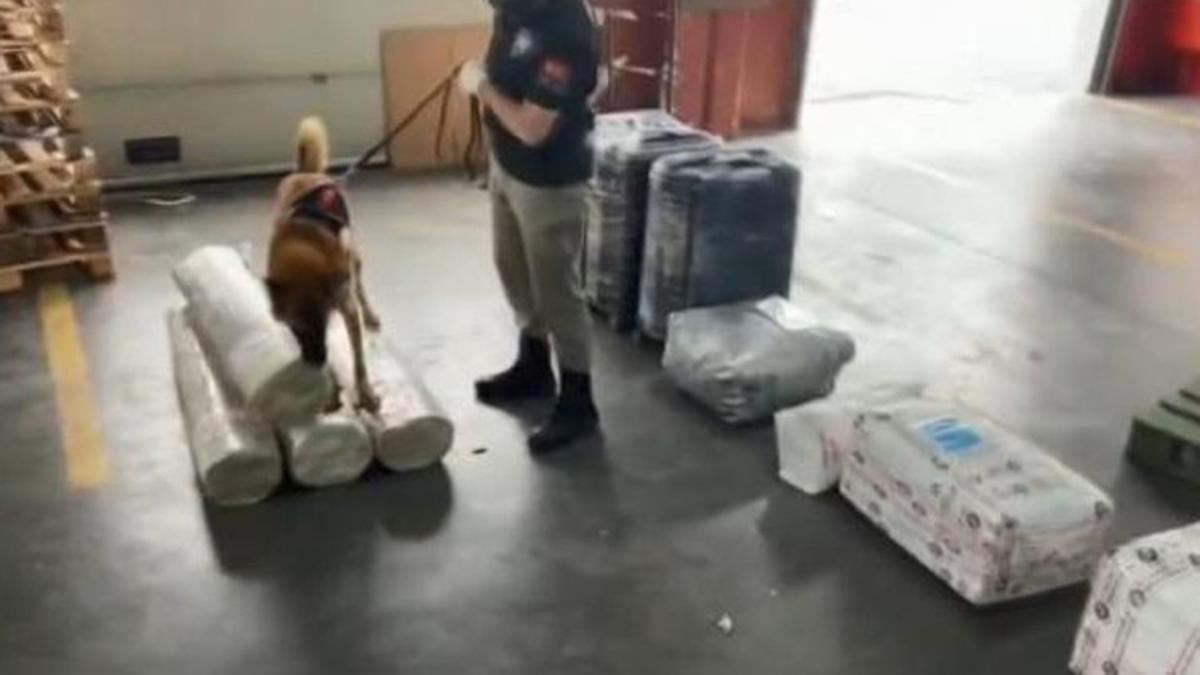 İstanbul’da son bir ayda 455 kilogram uyuşturucu ele geçirildi