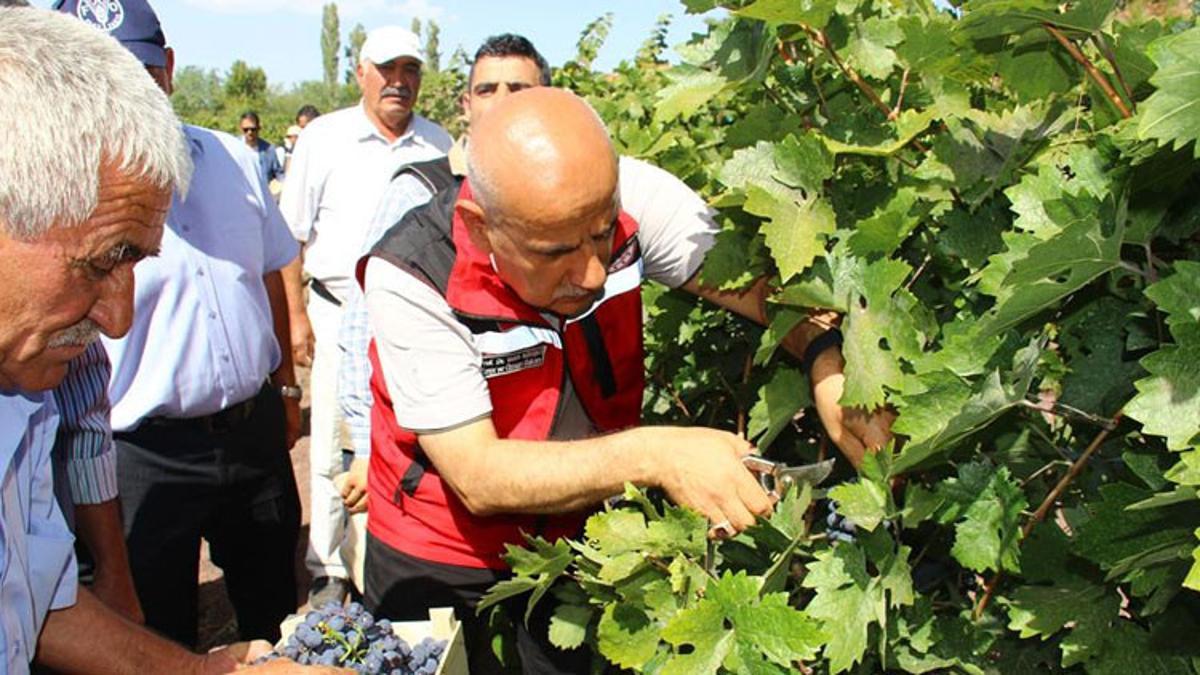 Tarım ve Orman Bakanı Kirişci 12. Uluslararası Kalecik Karası Üzüm Festivali’ne katıldı