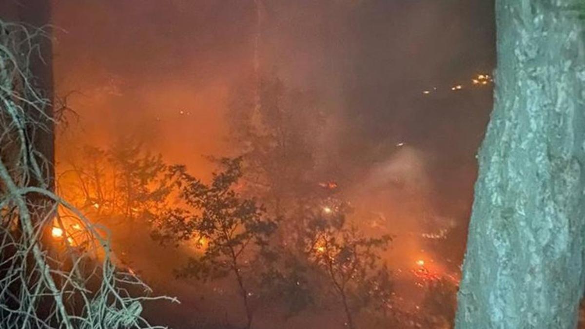 Uşak’ta çıkan orman yangını kontrol altına alındı