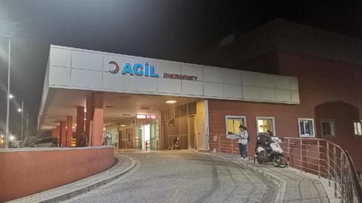 Almanya’dan ziyarete gelen kardeşini bıçakladı