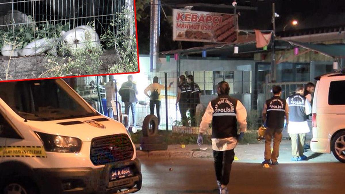 Beylikdüzü’nde otoparka silahlı saldırı: Eşyasını unutan işçi ile otoparktaki köpek yaralandı