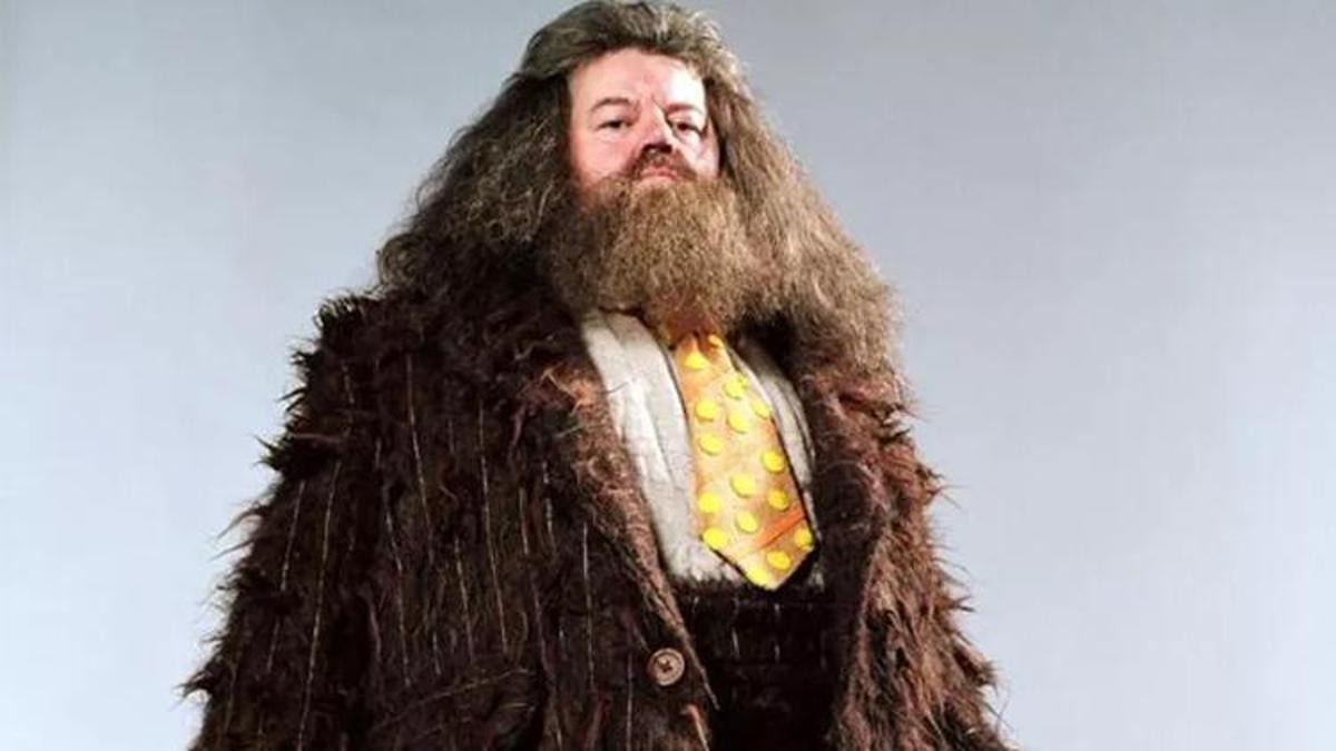 Harry Potter’ın Hagrid’i Robbie Coltrane Kimdir, Kaç Yaşında Ve Neden ...