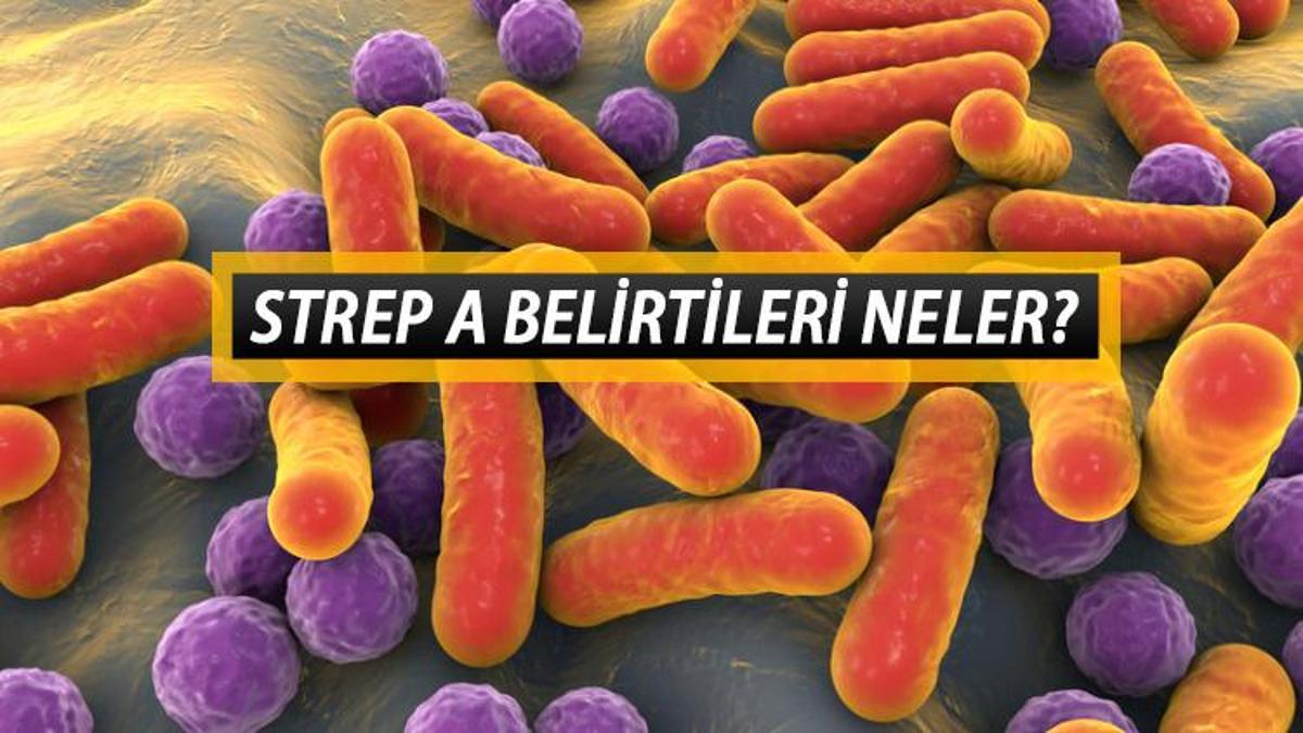 STREP A Nedir, Nasıl Bulaşır? A Grubu Streptokok Belirtileri Nelerdir ...