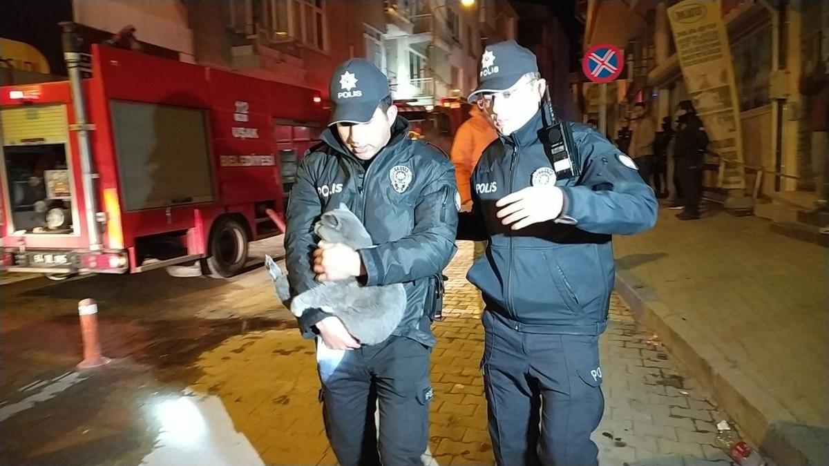 Dumanlar içinde kalan kediyi polis ekipleri kurtardı