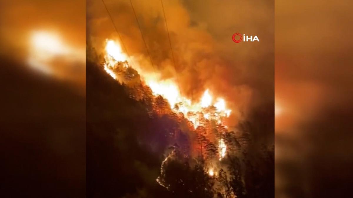 Son dakika: Alanya’da orman yangını