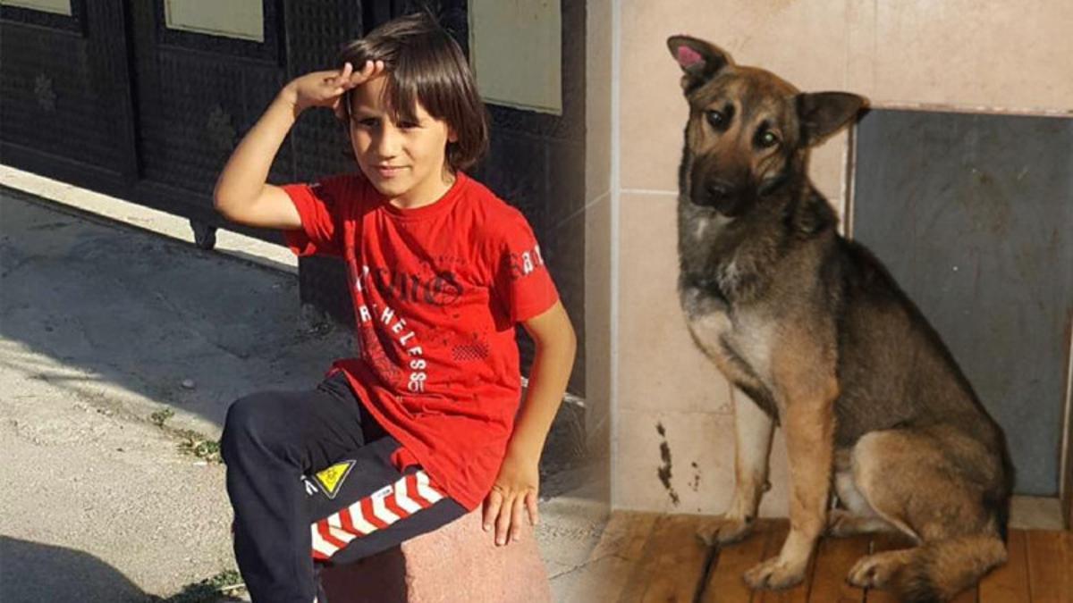 Emir Mete’nin ölümüne neden olmuştu: Bir daha sahiplendirilmeyecek