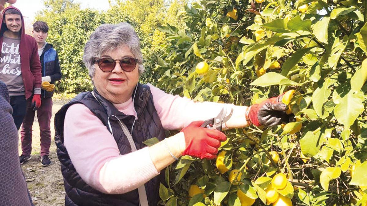 Limonların Ayfer annesi… Deprem sonrası zamanla yarıştılar