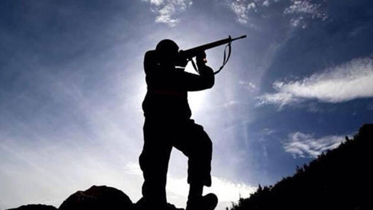 PKK’lı terörist, güvenlik güçlerine teslim oldu