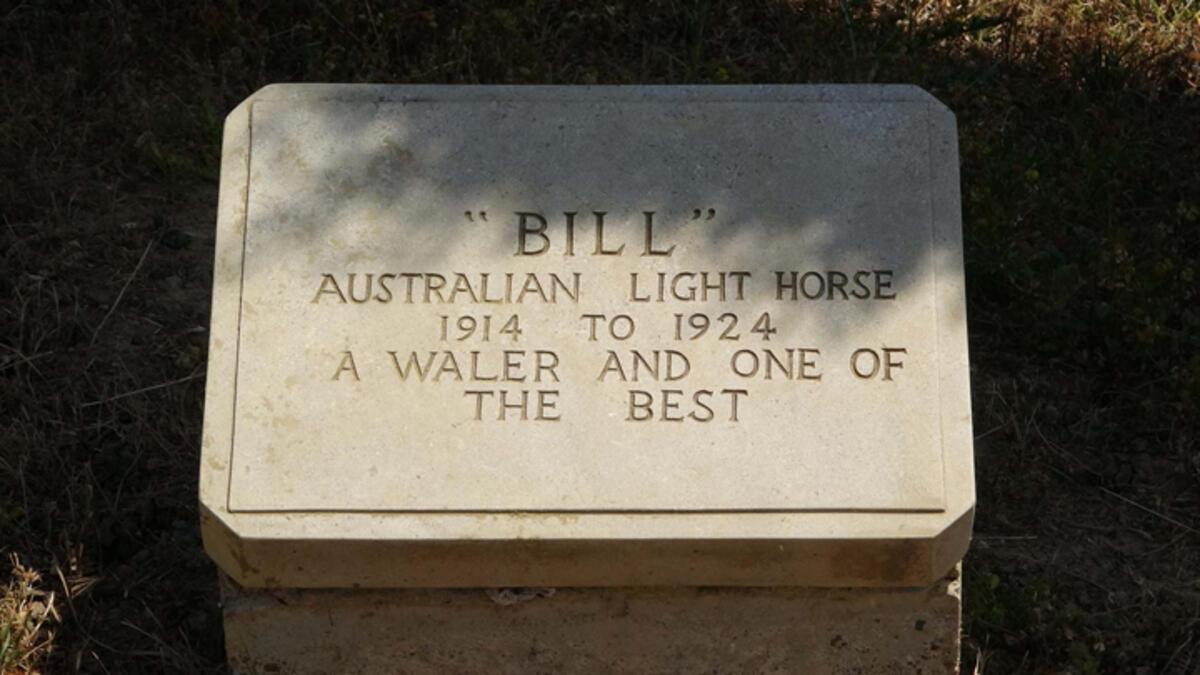Çanakkale Savaşları'nda adına mezar taşı olan tek savaş atı 'Bill'