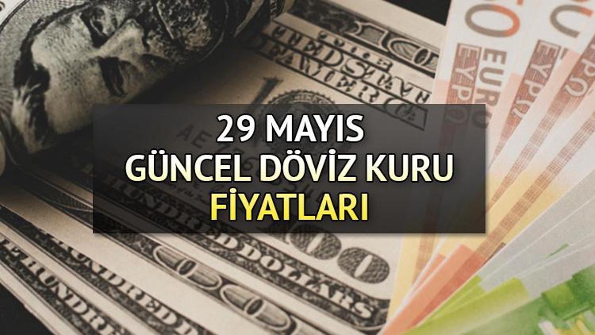 2 3 usd kaç tl