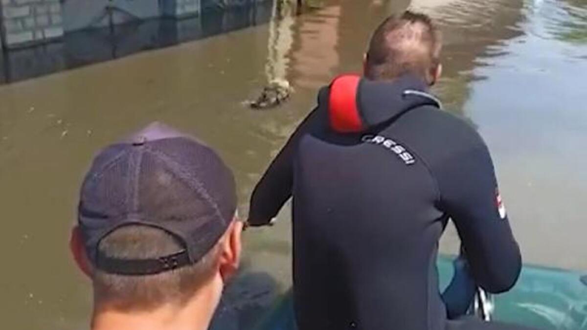 Ukrayna'da sel basan yerlerde kurtarma çalışmaları 1339 kişi tahliye edildi