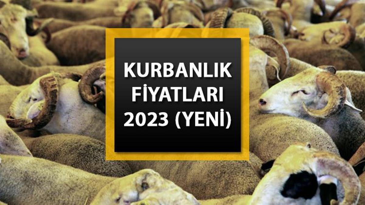 KURBANLIK FİYATLARI NE KADAR, BELLİ OLDU MU? (Büyükbaş, Küçükbaş) || Bu ...