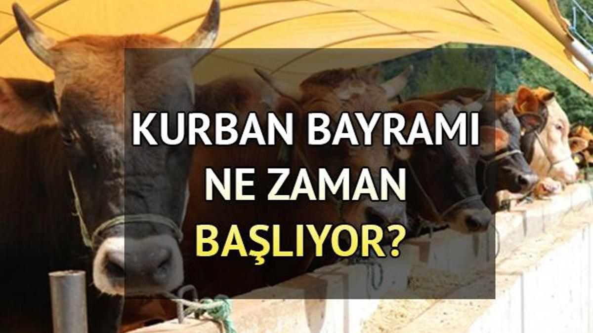 KURBAN BAYRAM TATİLİ NE ZAMAN 2023 | Bayram Ne Zaman Başlıyor, Tatil 9 ...