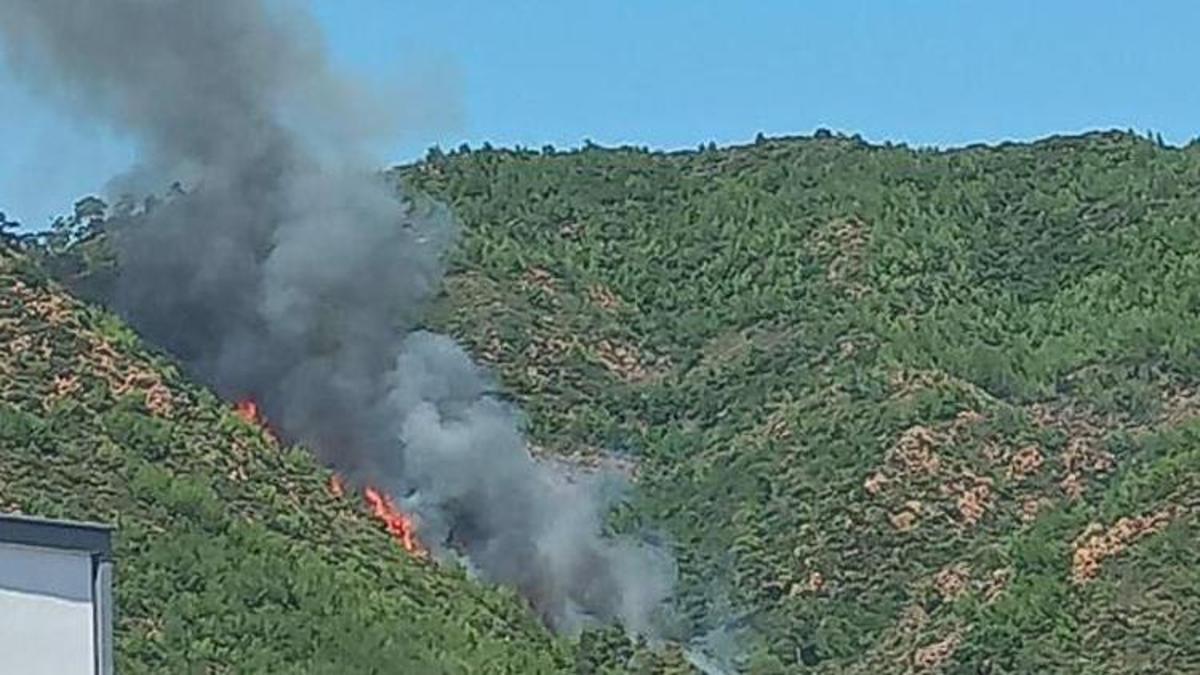 Muğla’da çıkan orman yangınında korkunç neden ortaya çıktı, 2 Cumhuriyet Savcısı görevlendirildi