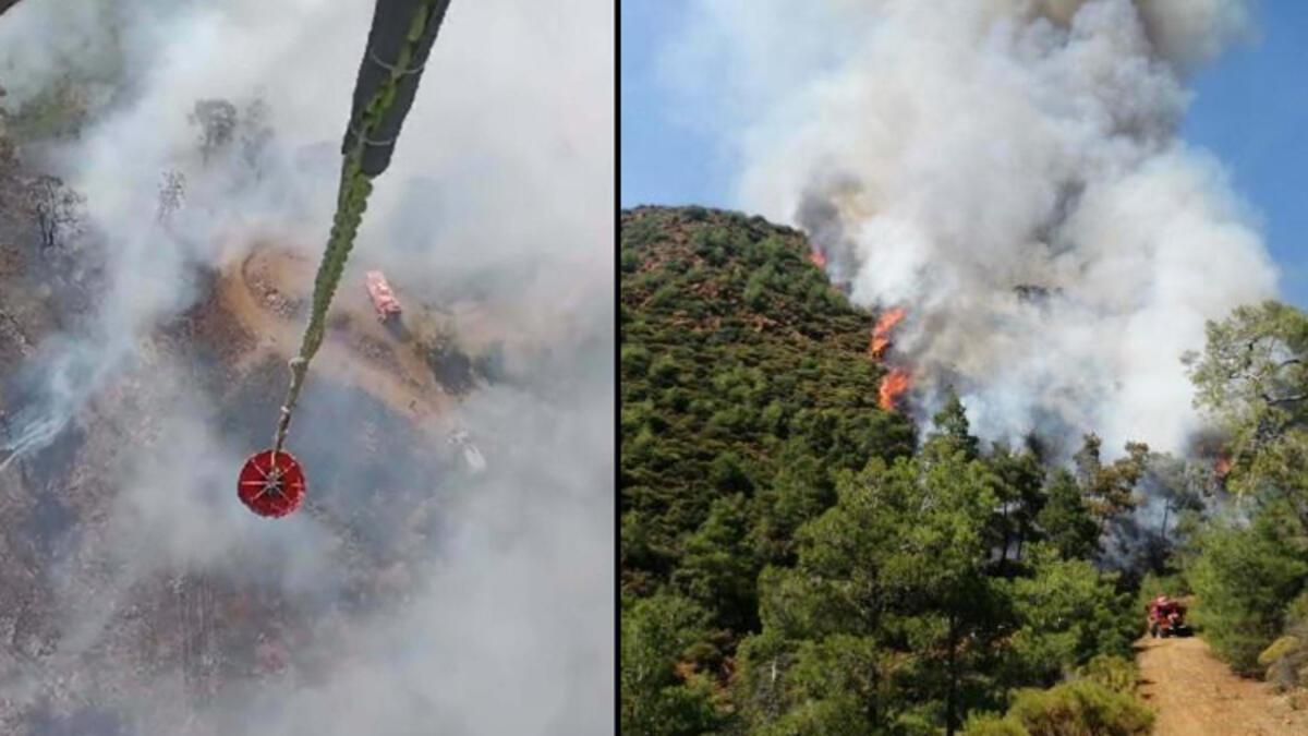 Orman yangınının nedeni 'yakılan ceset' çıkmıştı Delil yetersizliğinden serbest