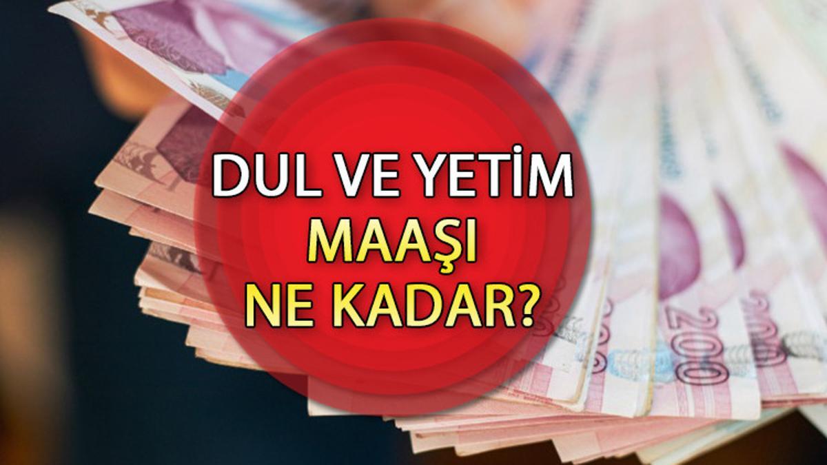 DUL VE YETİM MAAŞ ZAMMI 2023 HESAPLAMASI || Temmuz dul ve yetim maaşı ne kadar oldu, kaç TL ...