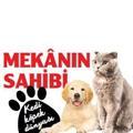 Serhat DEMİREL