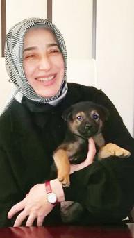 Seçim barajında iki alternatif