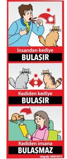 İnsandan bulaşır onlardan bulaşmaz