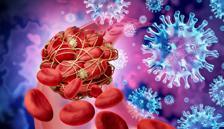 Covid-19 takibinde D-dimer testi neden önemli? | 9 SORU 9 YANIT