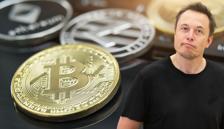 Elon Musk'ı izleyeceğim derken avlandılar! 10 milyon dolar buhar oldu