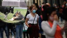 Bilim insanlarına göre özel eğitilmiş köpekler, koronavirüsün yayılmasının önlenmesine yardımcı olabilir