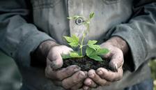 Mazot gübre desteği yattı mı? Çiftçi Destek Ödemesi sorgulama hakkında bilgiler