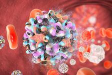 Hepatit B virüsü enfeksiyonu ve korunma yolları