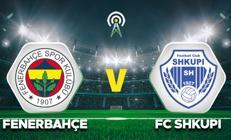 Fenerbahçe-FC Shkupi hazırlık maçı ne zaman, saat kaçta ve hangi kanalda İşte FC Shkupi-Fenerbahçe maçı canlı yayın bilgisi