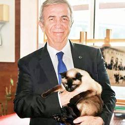 Şu üç şey sorulduğunda hep şunları söylüyorum