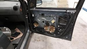 Aracın kapı döşemesine gizlenen 5 bin 450 su kaplumbağası ele geçirildi