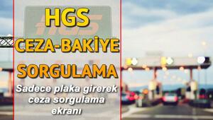 HGS ceza kontrol ve bakiye sorgulama ekranı