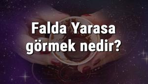 En Iyi Fal Uygulamalari Mobiluygulama Com