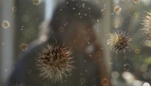 Mayıs sıkıntısı: Covid mi oldum, polen alerjisi mi