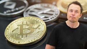 Elon Muskı izleyeceğim derken avlandılar 10 milyon dolar buhar oldu