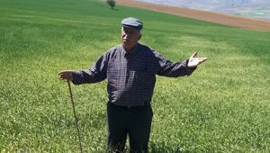 Balâda yüzde 70 ürün kaybı yaşandı