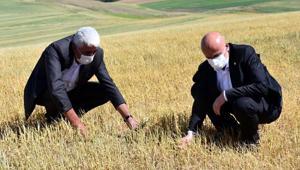 Yağış yetersiz kayıp büyük