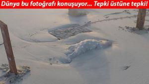 Dünya bu fotoğrafı konuşuyor... Cansız bedenleri sahile vurdu