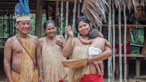 Yaşlanmayı yavaşlatmanın anahtarı ellerinde: Çimanelerin sırrı ne