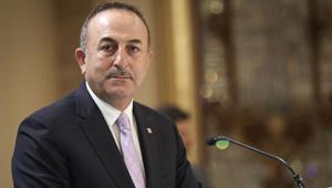 Dışişleri Bakanı Çavuşoğlu, Fransada